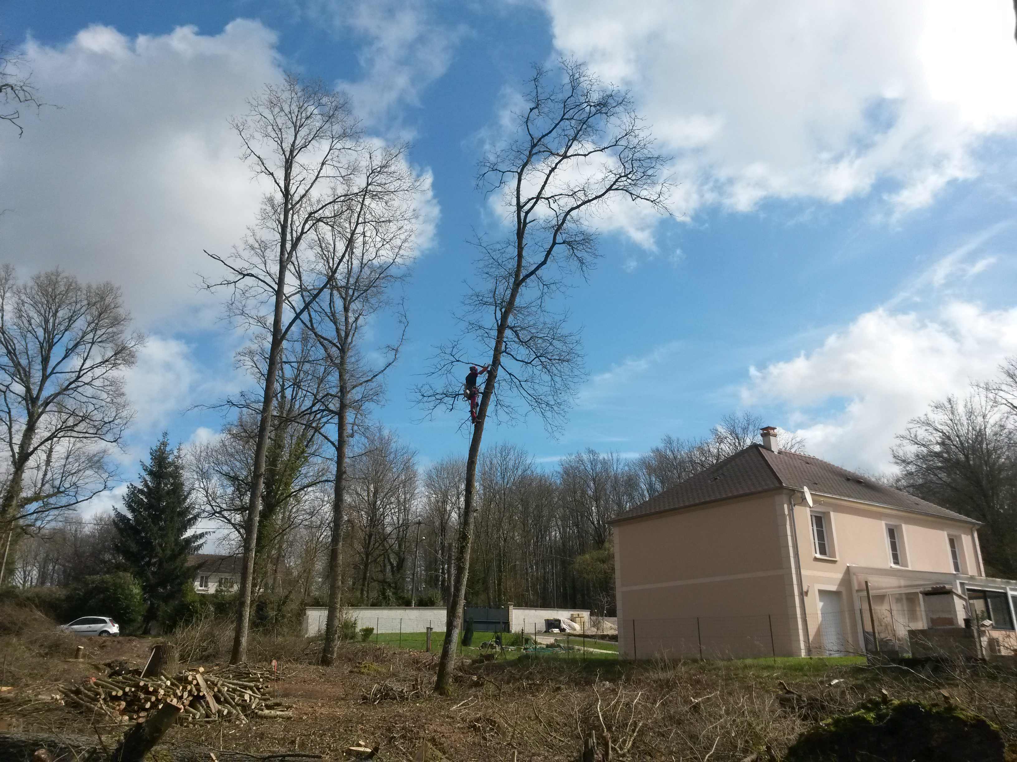 elagage abattage Mouroux 77120